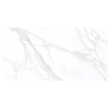 Gạch Eurotile SIG. P4805 1