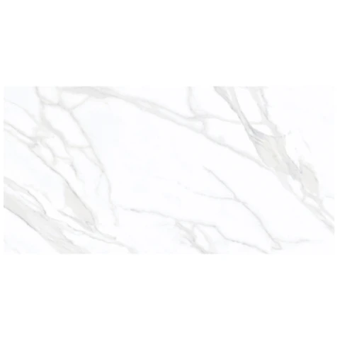 Ảnh Gạch Eurotile SIG. P4805 3