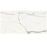 Gạch Eurotile DAN N01P 1