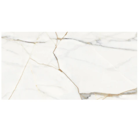 Gạch Eurotile DAN N01P