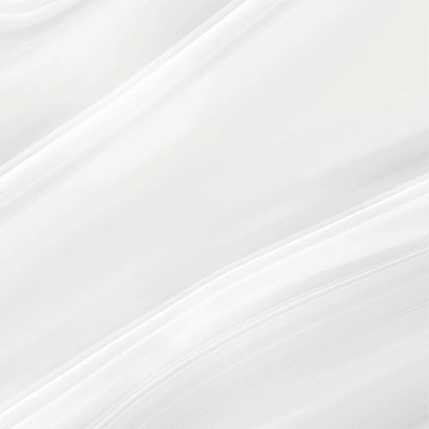Ảnh Gạch Eurotile SIG.P-8807 4