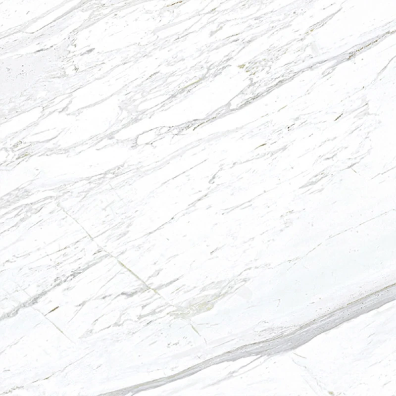 Ảnh Gạch Eurotile SIG. P8801 5
