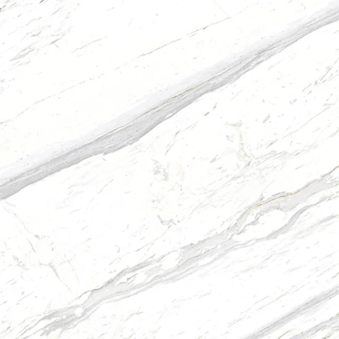 Ảnh Gạch Eurotile SIG. P8801 1