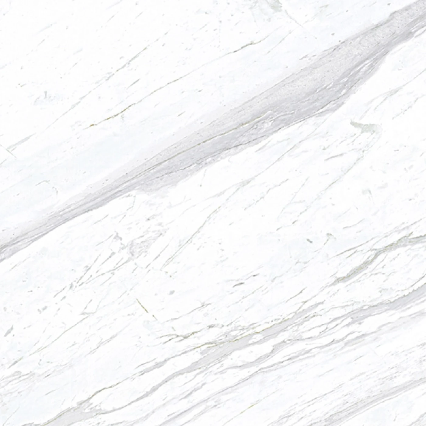 gach eurotile 800x800 Sig P 8801 f4