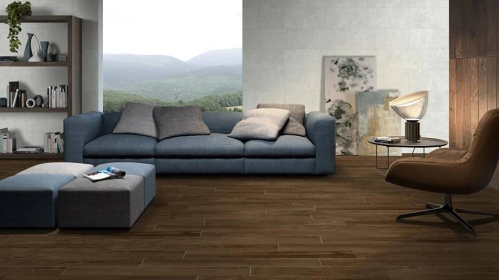 gach eurotile mol m04 ung dung lat nen phong khach 991x557