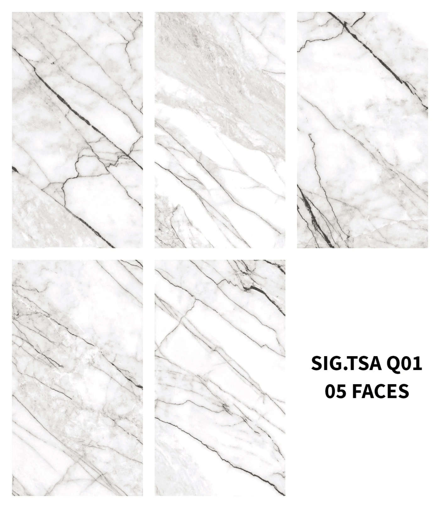 gach eurotile sig tsa q01