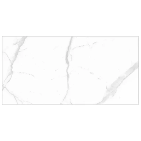 Ảnh Gạch Eurotile SIG.P4803 3