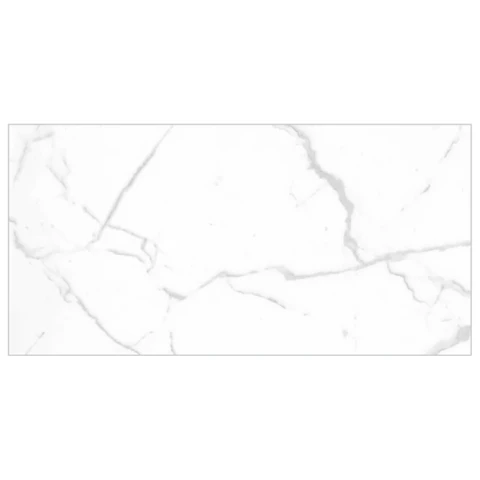 Ảnh Gạch Eurotile SIG.P4803 7