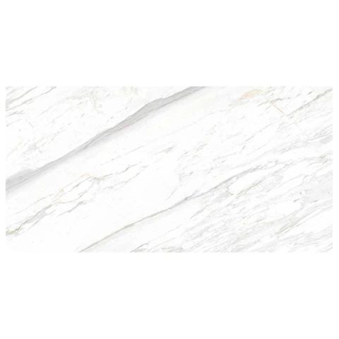 Ảnh Gạch Eurotile SIG. P4801 3