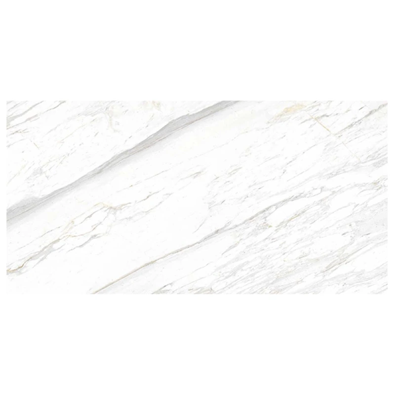 Ảnh Gạch Eurotile SIG. P4801 3