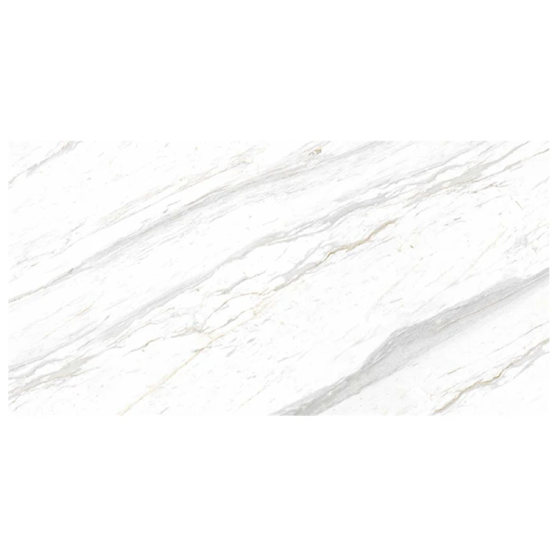 Gạch Eurotile SIG. P4801