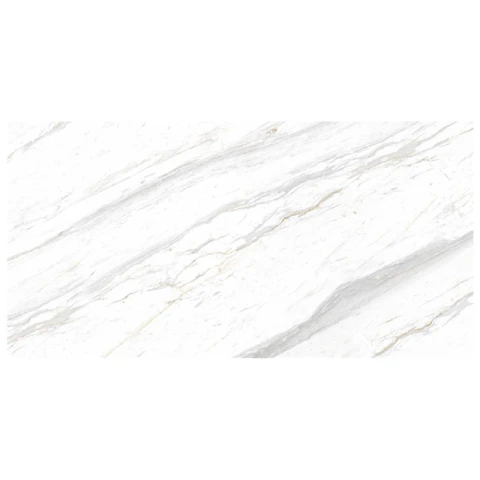 Gạch Eurotile SIG. P4801