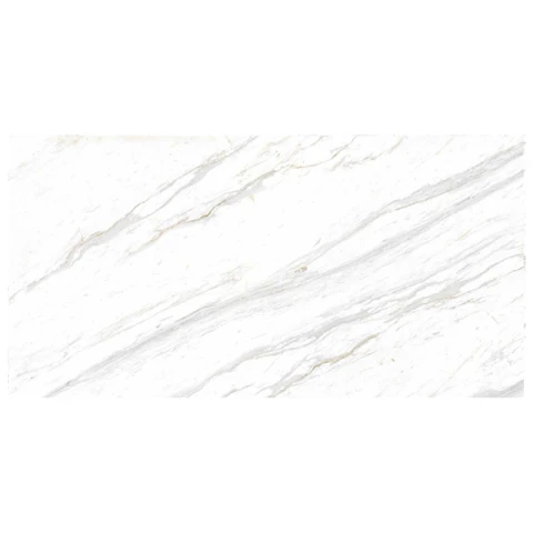 Ảnh Gạch Eurotile SIG. P4801 6