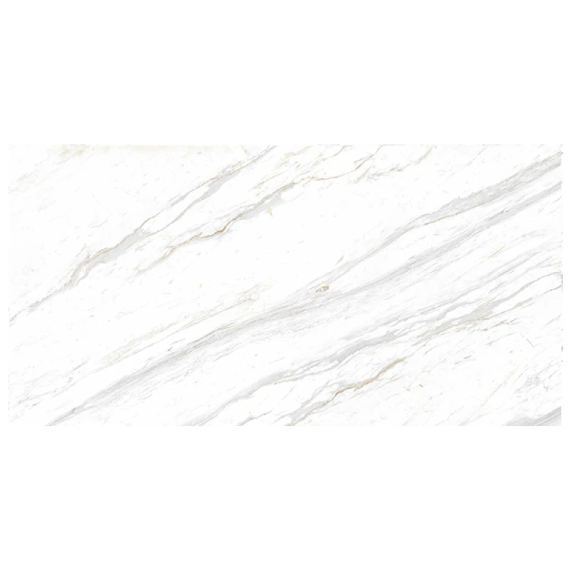 Ảnh Gạch Eurotile SIG. P4801 6