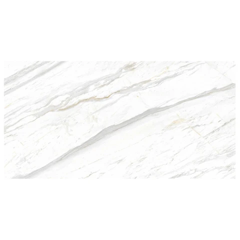 Ảnh Gạch Eurotile SIG. P4801 5