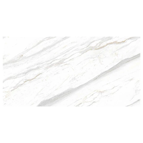 Ảnh Gạch Eurotile SIG. P4801 4