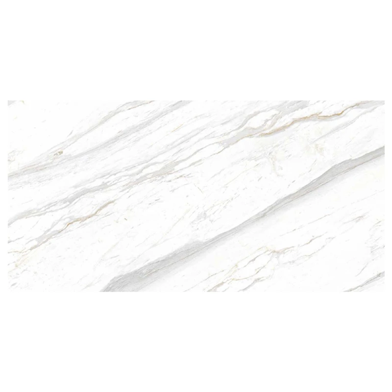 Ảnh Gạch Eurotile SIG. P4801 4