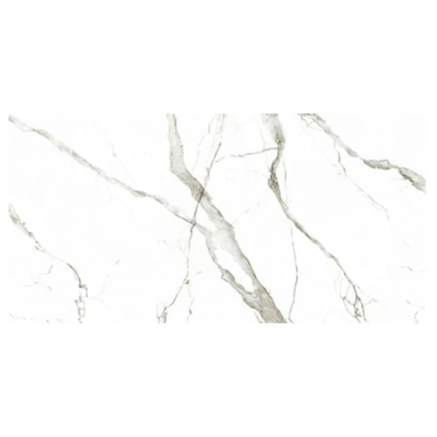 Ảnh Gạch Eurotile SIG. P4806 5