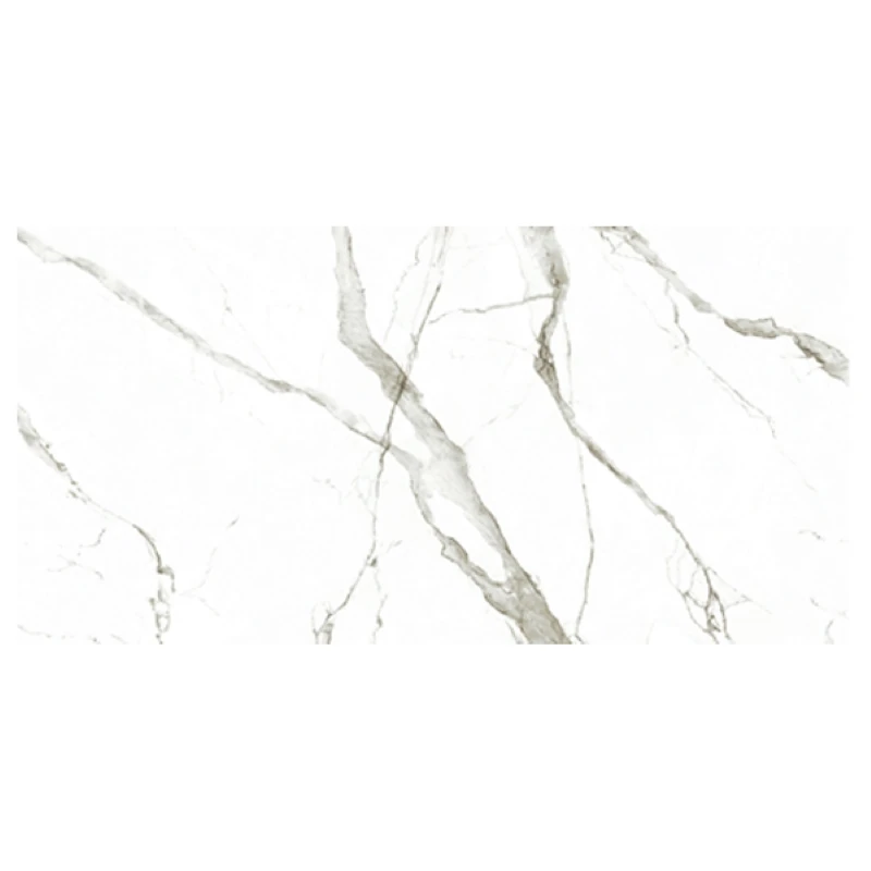 Ảnh Gạch Eurotile SIG. P4806 5