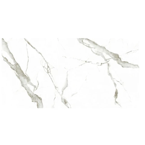 Gạch Eurotile SIG. P4806