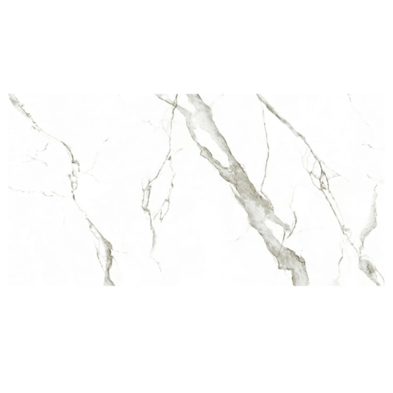 Ảnh Gạch Eurotile SIG. P4806 2