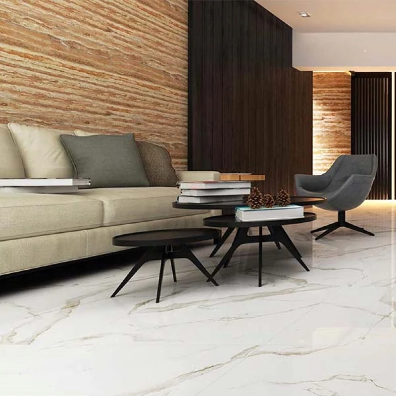 Ảnh Gạch Eurotile SIG. P4806 3