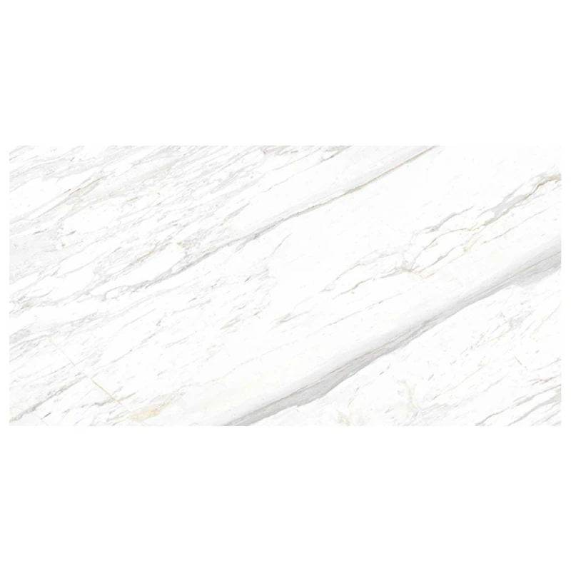Ảnh Gạch Eurotile SIG. P61201 3