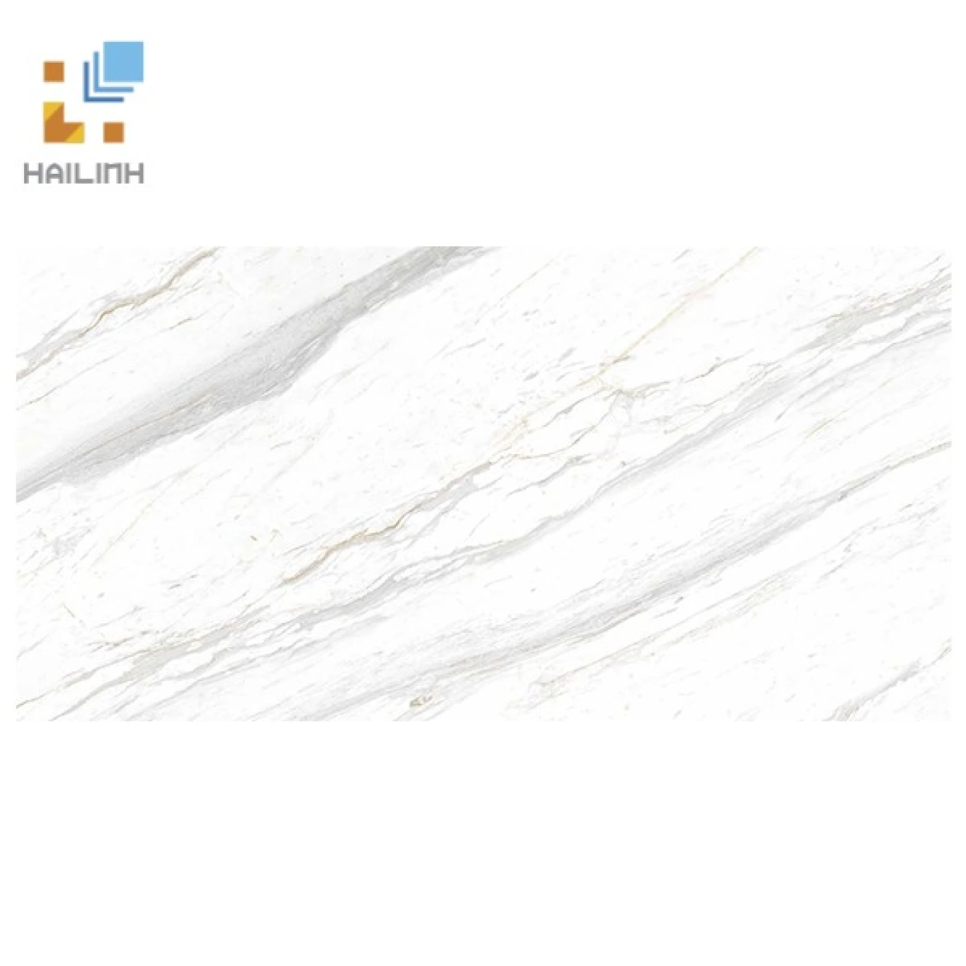 gach eurotile 600x1200 sig p 61201 f2