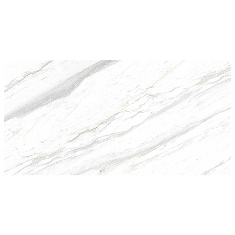 Ảnh Gạch Eurotile SIG. P61201 4