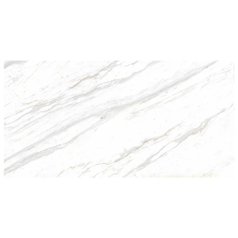 Ảnh Gạch Eurotile SIG. P61201 5