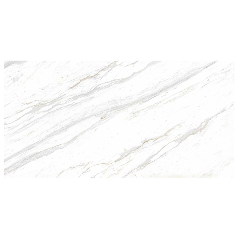 Ảnh Gạch Eurotile SIG. P61201 5
