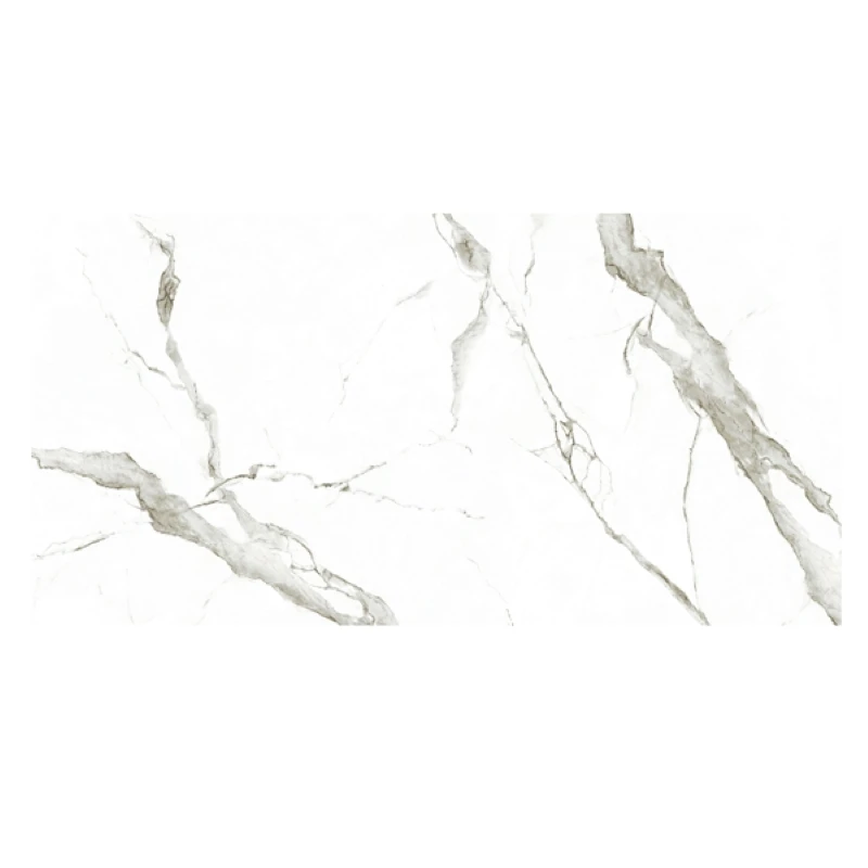 Ảnh Gach Eurotile SIG.P-61206 4