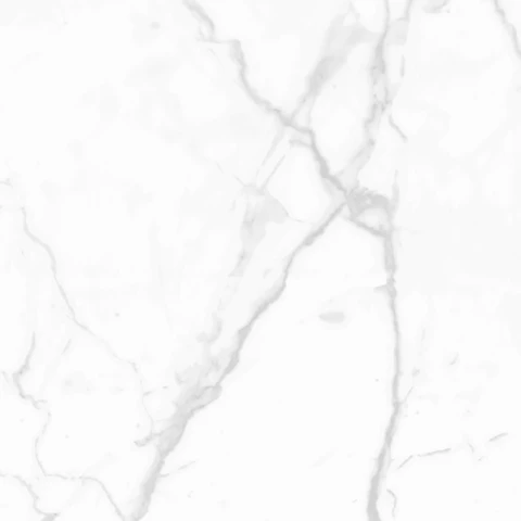 Ảnh Gạch Eurotile SIG.P-8803 6