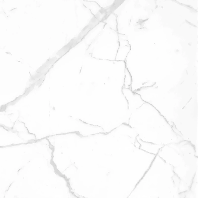 Ảnh Gạch Eurotile SIG.P-8803 7