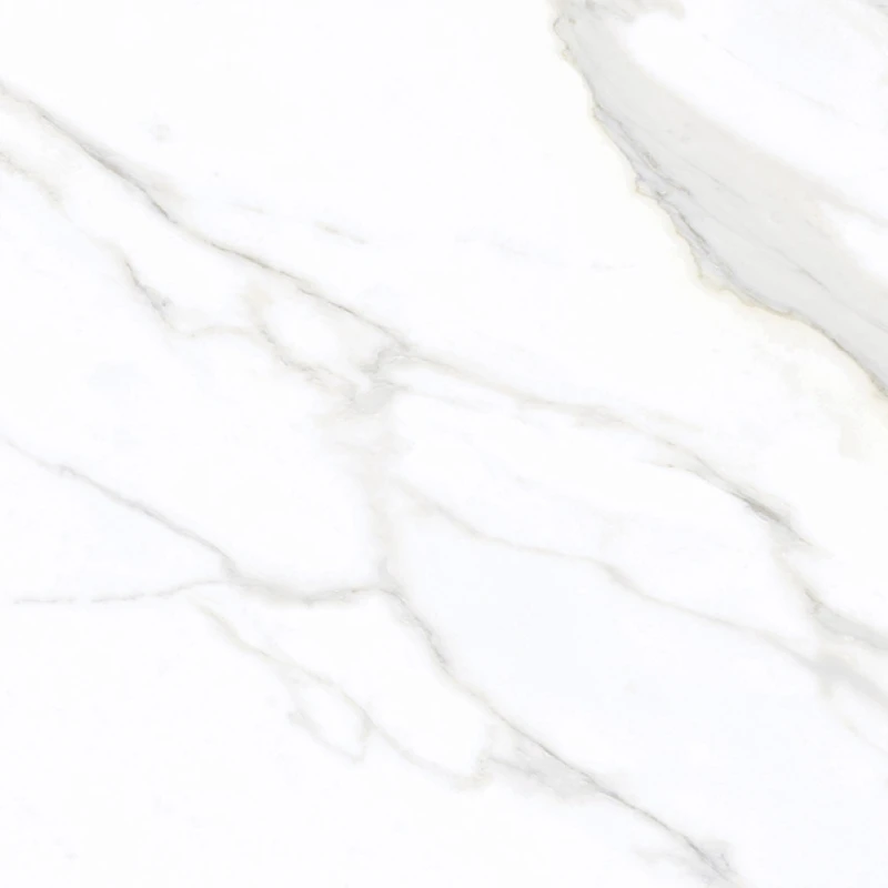 Ảnh Gạch Eurotile SIG.P-8805 5