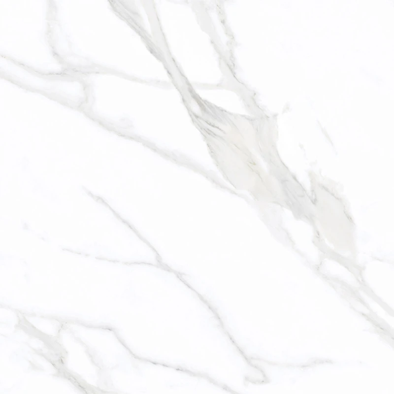 Ảnh Gạch Eurotile SIG.P-8805 4