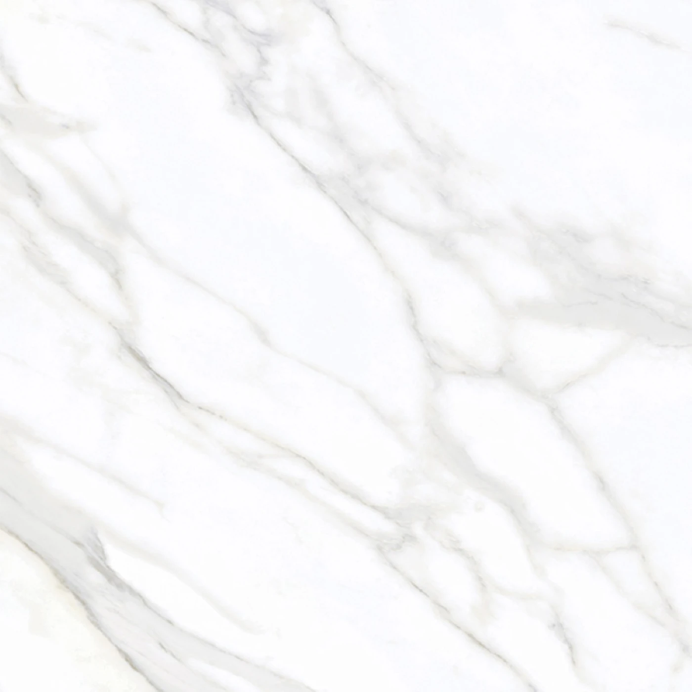 gach xuong trang eurotile 800x800 SIG P 8805 f6