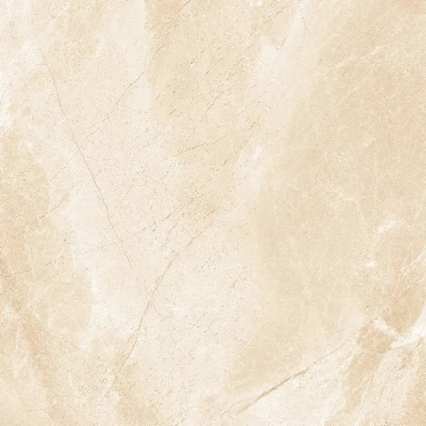 Ảnh Gạch HLG3301 2