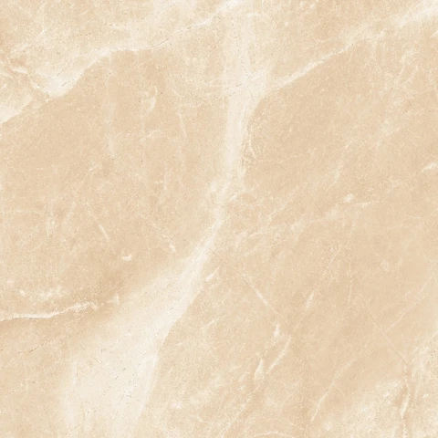 Ảnh Gạch HLG3301 5
