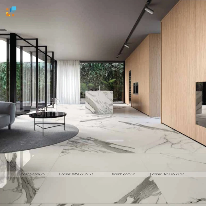 Ảnh Gạch Italy HL1212128B 2