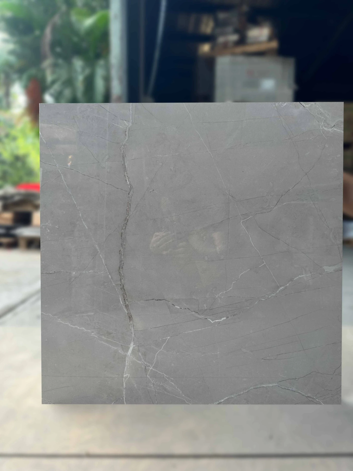 gach an do 60x60 csi66120