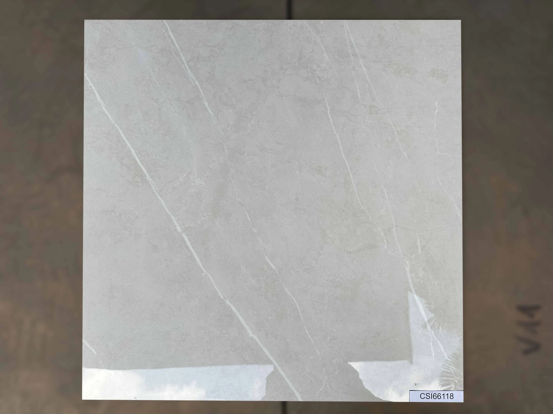 Ảnh Gạch Ấn Độ CSI66118 60x60 4