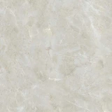 Gạch Ấn Độ CSI100199B 3