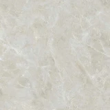 Gạch Ấn Độ CSI100199B 2