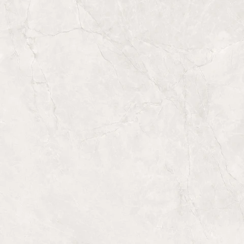Ảnh Gạch Ấn Độ CSI100206B 3