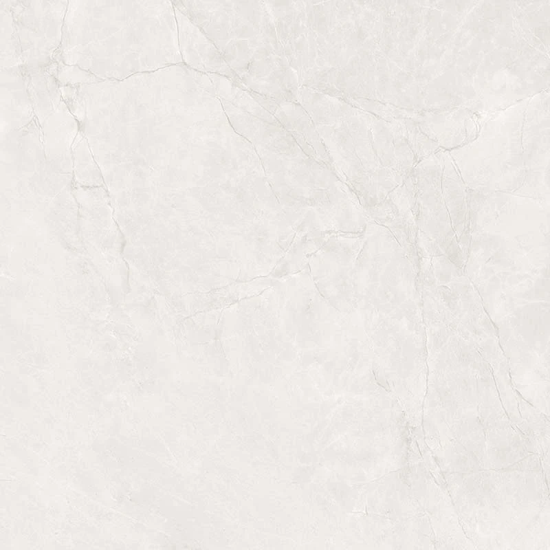 Ảnh Gạch Ấn Độ CSI100206B 3