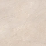 Gạch Viglacera Platinum PH66-01 4