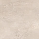 Gạch Viglacera Platinum PH66-01 1