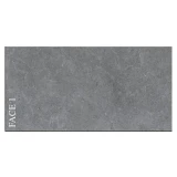 Gạch Viglacera PT20-G3605 1