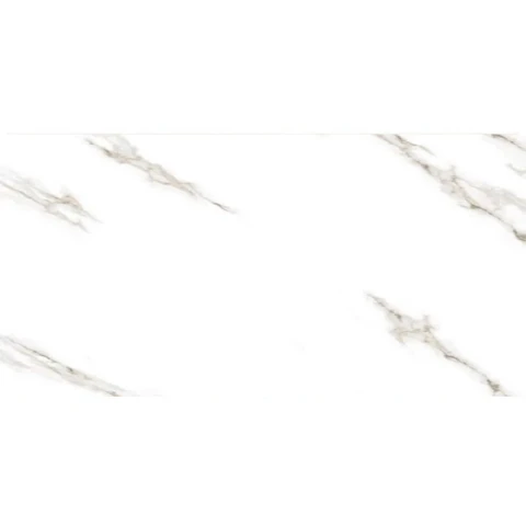 Ảnh Gạch Taicera GP12085J 1